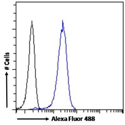 Flow Cytometry: Acetylcholinesterase/ACHE Antibody [NB100-1519]