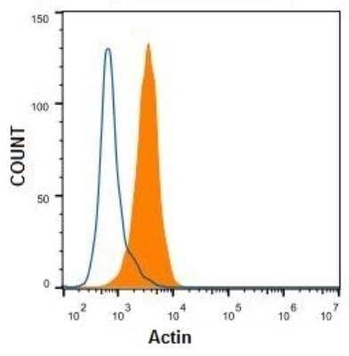 Flow Cytometry: pan Actin Antibody (5J11) [NBP2-25142]