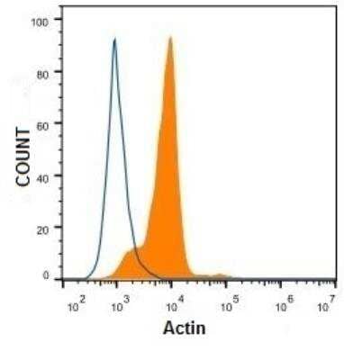Flow Cytometry: Actin Antibody (mAbGEa) [NB100-74340]