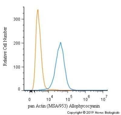 Flow (Intracellular): Actin (Muscle Specific) Antibody (MSA/953) - Azide and BSA Free [NBP2-47662]