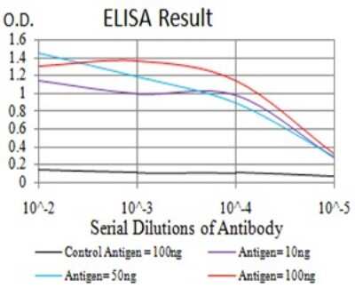 ELISA: Activin RIA/ALK-2/Activin Receptor Type 1 Antibody (2C1E8) - BSA Free [NBP2-61798]