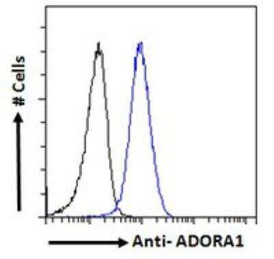 Flow Cytometry: Adenosine A1R Antibody [NBP2-87922]