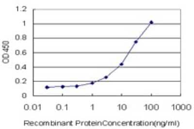 ELISA: Adenylate Cyclase 2 Antibody (1D4) [H00000108-M01]