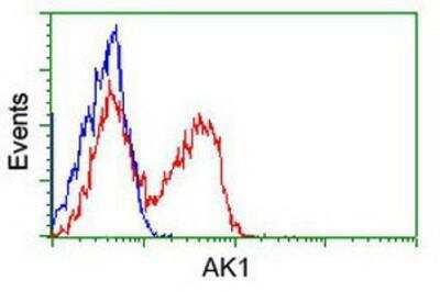 Flow Cytometry: Adenylate Kinase 1 Antibody (OTI4A1) [NBP1-47655]