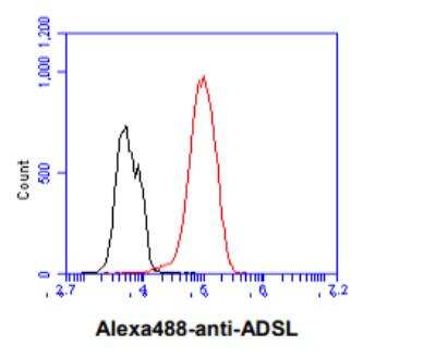 Flow Cytometry: Adenylosuccinate Lyase Antibody (16C10) - BSA Free [NBP2-59414]