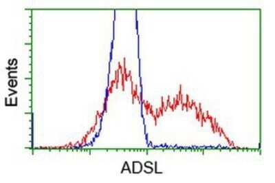 Flow Cytometry: Adenylosuccinate Lyase Antibody (OTI2D10) - Azide and BSA Free [NBP2-70101]