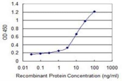 ELISA: AdipoR1 Antibody (2C8) [H00051094-M01]