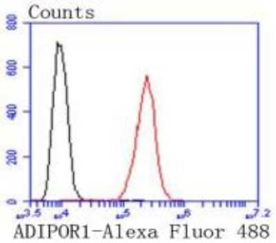 Flow Cytometry: AdipoR1 Antibody (SC69-04) [NBP2-67631]