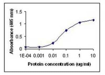 ELISA: Albumin Antibody - BSA Free [NB300-336]