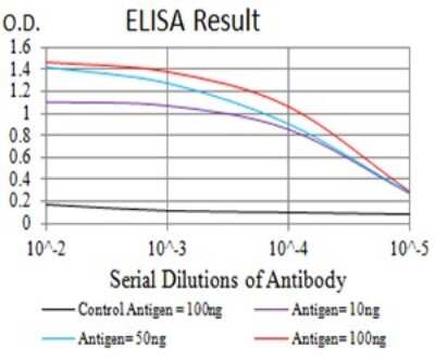 ELISA: Aldolase A Antibody (1C5B2) - BSA Free [NBP2-61844]