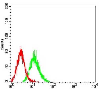 ELISA: Aldolase A Antibody (1C5B2) - BSA Free [NBP2-61844]