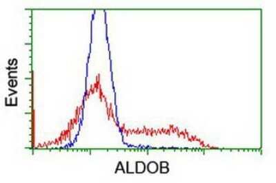Flow Cytometry: Aldolase B Antibody (OTI3C6) - Azide and BSA Free [NBP2-70162]
