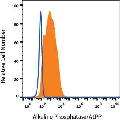Flow Cytometry: Alkaline Phosphatase/ALPP Antibody (8B6) - BSA Free [NB110-3638]