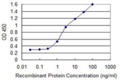 ELISA: Alkaline Phosphatase, Intestinal Antibody (3A8) [H00000248-M03]