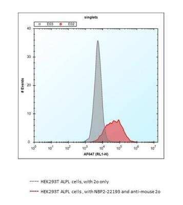 Flow Cytometry: Alkaline Phosphatase, Tissue Non-Specific Antibody (2F4) - BSA Free [NBP2-22193]