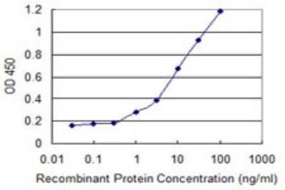 ELISA: Alpha Actinin 4 Antibody (1E10) [H00000081-M02]