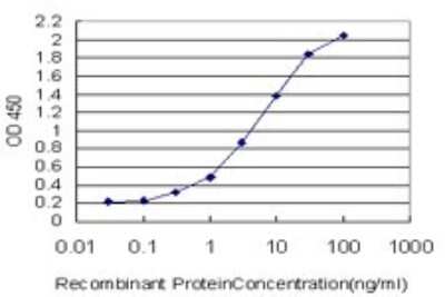 ELISA: Alpha Actinin 4 Antibody (4D10) [H00000081-M01]