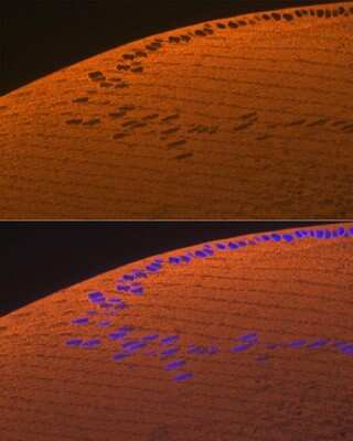Immunohistochemistry: AlphaA Crystallin/CRYAA Antibody (1T1F5) [NBP3-16559]