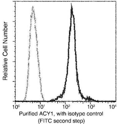 Flow Cytometry: Aminoacylase/ACY1 Antibody (006) [NBP2-89558]