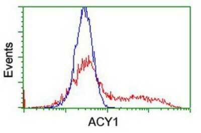Flow Cytometry: Aminoacylase/ACY1 Antibody (OTI1D4) - Azide and BSA Free [NBP2-70080]