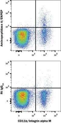 Flow Cytometry: Aminopeptidase A/ENPEP Antibody (6C3) - Azide and BSA Free [NBP2-80573]