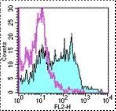 Flow Cytometry: Aminopeptidase A/ENPEP Antibody (6C3) - Azide and BSA Free [NBP2-80573]