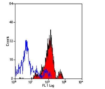 Flow Cytometry: Aminopeptidase N/CD13 Antibody (ER-BMDM1) - Azide and BSA Free [NBP2-80574]