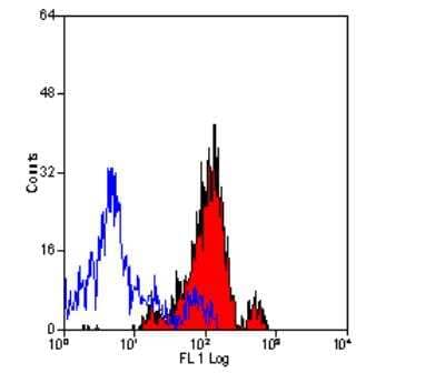 Flow Cytometry: Aminopeptidase N/CD13 Antibody (ER-BMDM1) - BSA Free [NB100-64843]