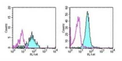 Flow Cytometry: Aminopeptidase N/CD13 Antibody (WM15) - BSA Free [NB110-58720]