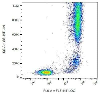 Flow Cytometry: Aminopeptidase N/CD13 Antibody (WM15) - BSA Free [NB110-58720]