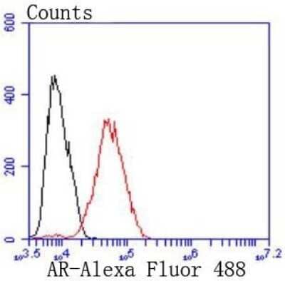 Flow Cytometry: Androgen R/NR3C4 Antibody (ST0453) [NBP2-67497]