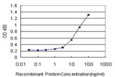 ELISA: Angiopoietin-like Protein 6/ANGPTL6 Antibody (3H8) [H00083854-M07]