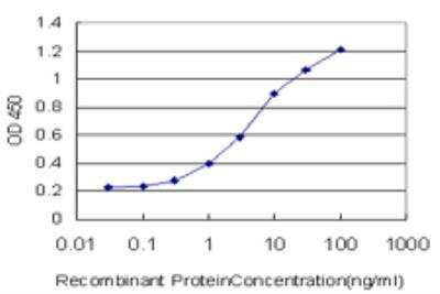 ELISA: Annexin A10 Antibody (3F12) [H00011199-M05]