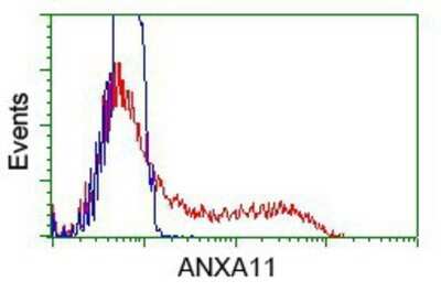 Flow Cytometry: Annexin A11 Antibody (OTI1C6) - Azide and BSA Free [NBP2-70182]