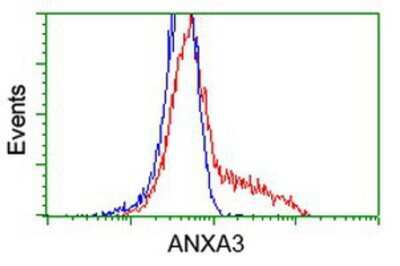 Flow Cytometry: Annexin A3 Antibody (OTI1A5) [NBP2-03374]
