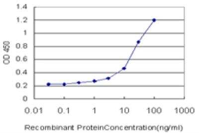 ELISA: Annexin A3 Antibody (4F1) [H00000306-M12]