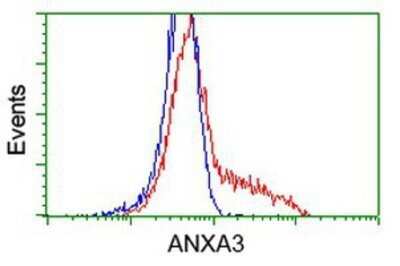 Flow Cytometry: Annexin A3 Antibody (OTI1A5) - Azide and BSA Free [NBP2-70179]