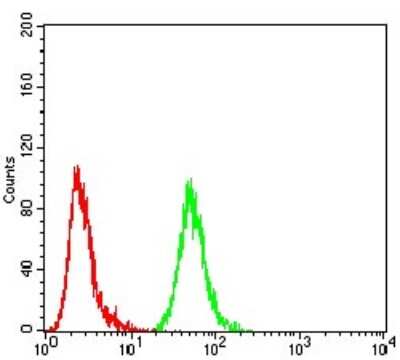 Flow Cytometry: Annexin V Antibody (3B9B7) - BSA Free [NBP2-52414]