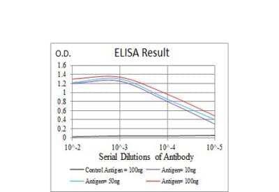 ELISA: Annexin V Antibody (3B9F3) - BSA Free [NBP2-52413]