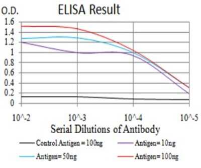 ELISA: Apc11 Antibody (6F1H6) - BSA Free [NBP2-61655]
