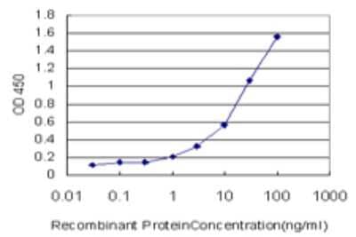 ELISA: Apelin Antibody (1A8-2A5) [H00008862-M02]