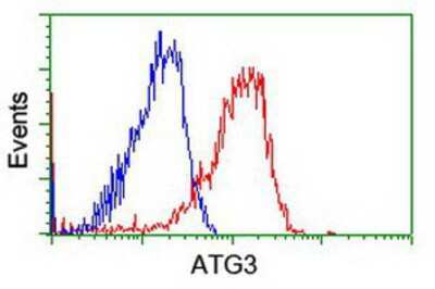 Flow Cytometry: ATG3/APG3 Antibody (OTI3H2) [NBP2-01083]