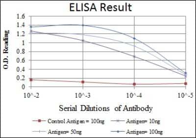 ELISA: Apolipoprotein E/ApoE Antibody (1H4) [NBP2-22110]