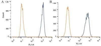 Flow Cytometry: Apolipoprotein A5 Antibody (1G5G9) - Azide and BSA Free [NBP2-80580]