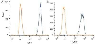 Flow Cytometry: Apolipoprotein A5 Antibody (1G5G9) - BSA Free [NB110-55454]