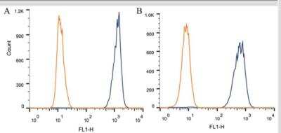 Flow Cytometry: Apolipoprotein A5 Antibody (1G5G9) [NB400-139]