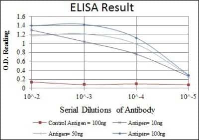 ELISA: Apolipoprotein B/ApoB Antibody (6G6) - BSA Free [NBP2-37598]