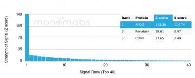 Protein Array: Apolipoprotein D Antibody (APOD/3414) - Azide and BSA Free [NBP3-08437]