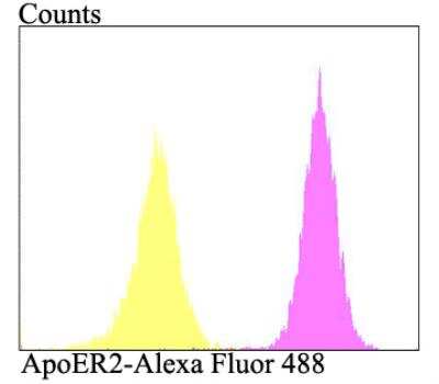 Flow Cytometry: Apolipoprotein E R2/ApoE R2 Antibody [NBP2-76911]