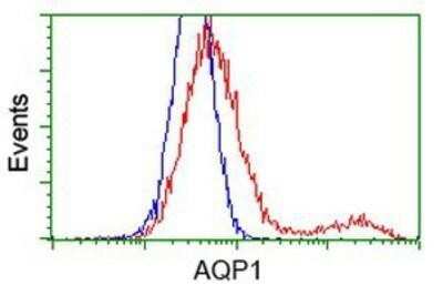 Flow Cytometry: Aquaporin 1/AQP1 Antibody (OTI2D10) - Azide and BSA Free [NBP2-70199]